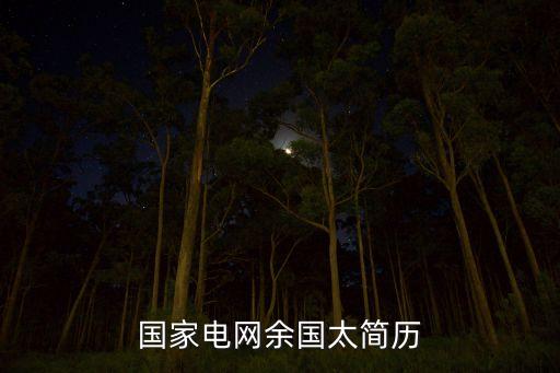 黃石供電公司副總經理,武漢供電公司副總經理名單