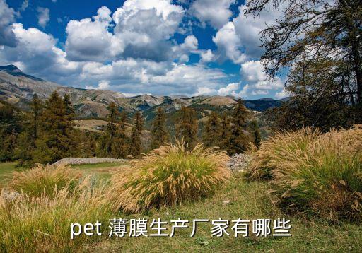 pet 薄膜生產(chǎn)廠家有哪些
