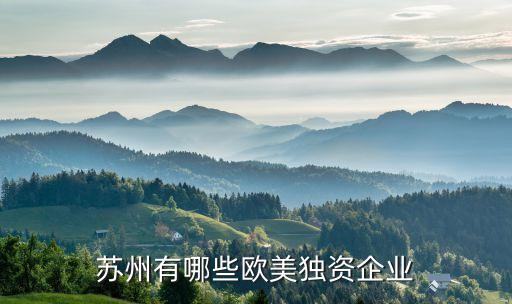蘇州有哪些歐美獨(dú)資企業(yè)