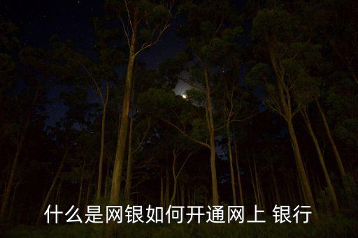 什么是網(wǎng)銀如何開通網(wǎng)上 銀行