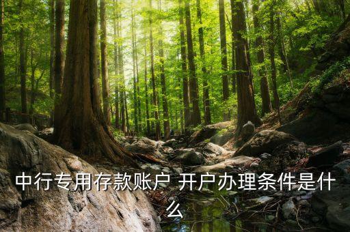 中行專用存款賬戶 開戶辦理?xiàng)l件是什么