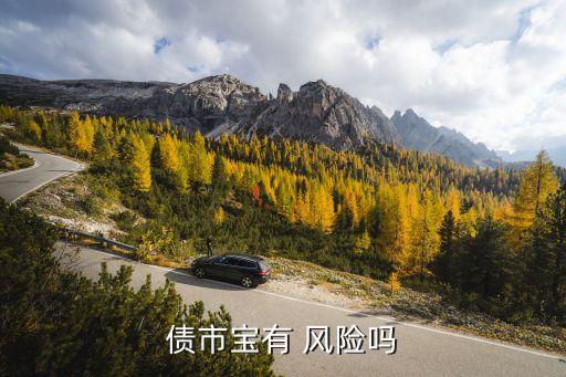 債市寶有 風(fēng)險(xiǎn)嗎