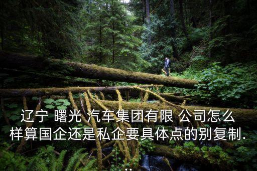 遼寧 曙光 汽車集團(tuán)有限 公司怎么樣算國(guó)企還是私企要具體點(diǎn)的別復(fù)制...