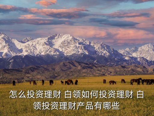 怎么投資理財 白領(lǐng)如何投資理財 白領(lǐng)投資理財產(chǎn)品有哪些