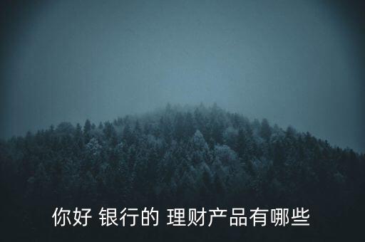 你好 銀行的 理財(cái)產(chǎn)品有哪些