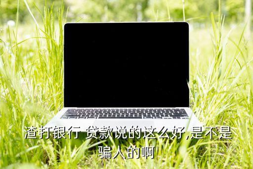  渣打銀行 貸款說(shuō)的這么好,是不是騙人的啊