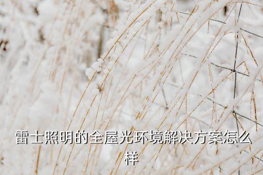  雷士照明的全屋光環(huán)境解決方案怎么樣