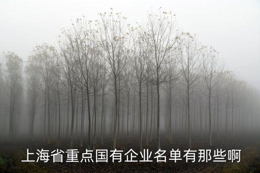  上海省重點國有企業(yè)名單有那些啊