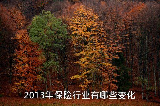 2013年保險行業(yè)有哪些變化