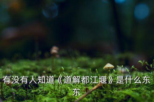 有沒(méi)有人知道《道解都江堰》是什么東東