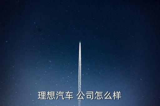 理想汽車 公司怎么樣