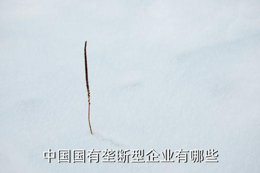 中國(guó)國(guó)有壟斷型企業(yè)有哪些