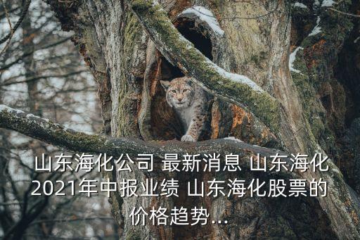 山東藍(lán)帆塑膠股份有限公司股票最新價(jià)格波動