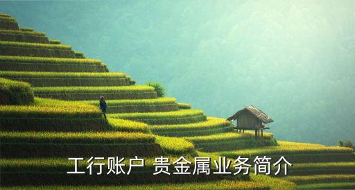  工行賬戶 貴金屬業(yè)務(wù)簡介