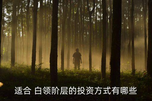 適合 白領(lǐng)階層的投資方式有哪些