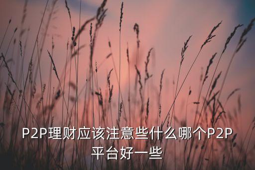 P2P理財應(yīng)該注意些什么哪個P2P平臺好一些