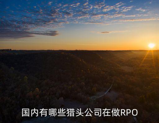 國(guó)內(nèi)有哪些獵頭公司在做RPO