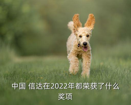 中國 信達(dá)在2022年都榮獲了什么獎項(xiàng)