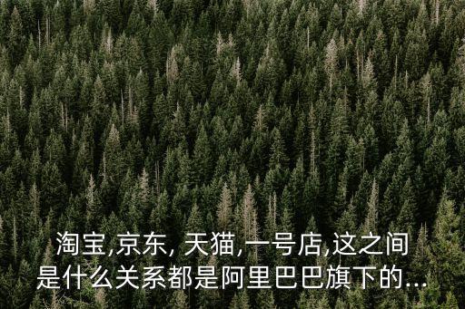 淘寶,京東, 天貓,一號店,這之間是什么關系都是阿里巴巴旗下的...