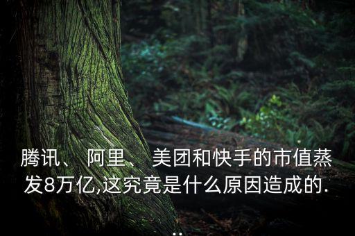 騰訊、 阿里、 美團和快手的市值蒸發(fā)8萬億,這究竟是什么原因造成的...