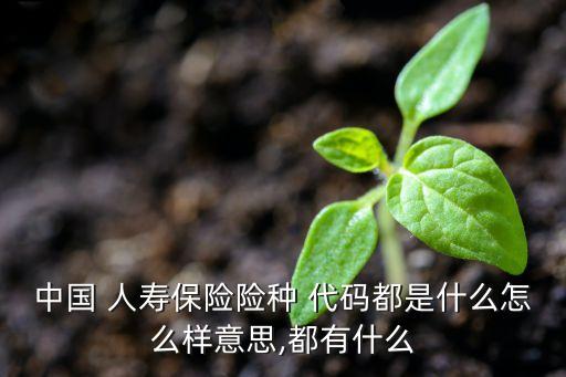 中國 人壽保險險種 代碼都是什么怎么樣意思,都有什么