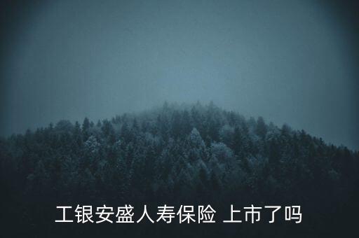 工銀安盛人壽保險 上市了嗎