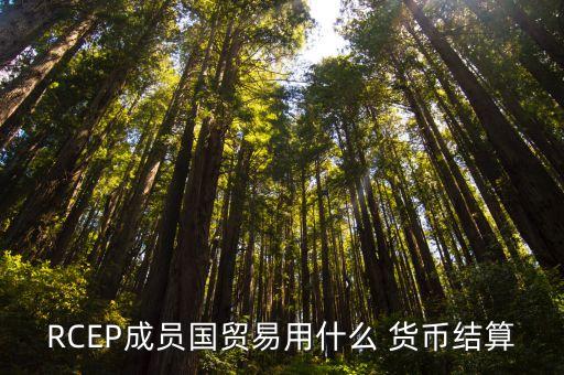 RCEP成員國貿(mào)易用什么 貨幣結(jié)算