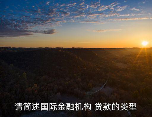 國際貨幣基金組織貸款特點(diǎn),不是國際貨幣基金組織貸款資金來源的是