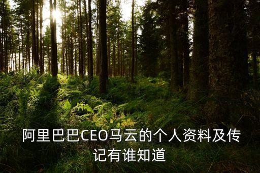  阿里巴巴CEO馬云的個(gè)人資料及傳記有誰(shuí)知道