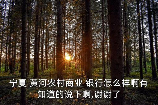 寧夏 黃河農(nóng)村商業(yè) 銀行怎么樣啊有知道的說下啊,謝謝了