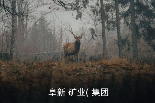 阜新礦業(yè)集團(tuán)破產(chǎn)