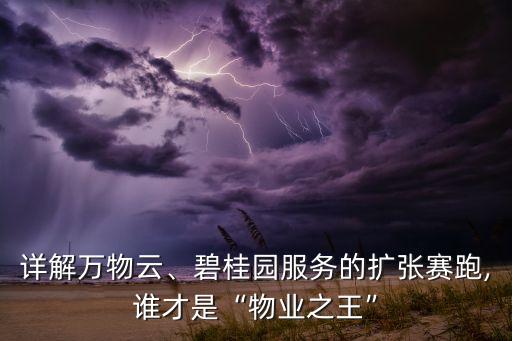 觀云投資持股