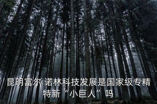 昆明富爾 諾林科技發(fā)展是國(guó)家級(jí)專精特新“小巨人”嗎