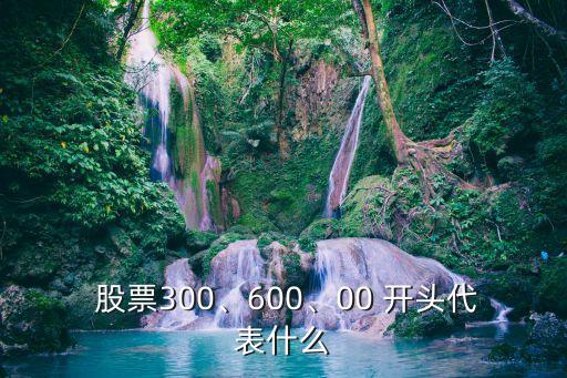  股票300、600、00 開頭代表什么