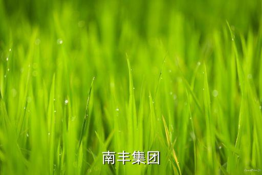 香港南豐集團(tuán)