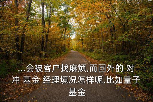 ...會(huì)被客戶找麻煩,而國(guó)外的 對(duì)沖 基金 經(jīng)理境況怎樣呢,比如量子 基金