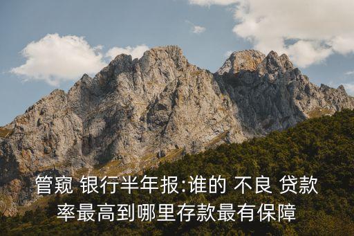 管窺 銀行半年報:誰的 不良 貸款率最高到哪里存款最有保障