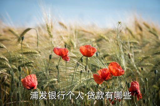 浦發(fā)銀行貸款