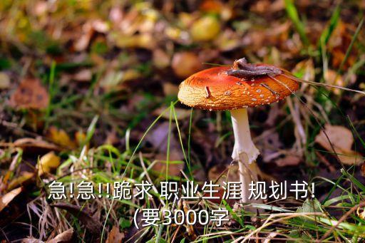 急!急!!跪求 職業(yè)生涯 規(guī)劃書!(要3000字