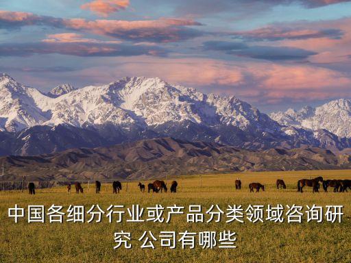 中國各細分行業(yè)或產(chǎn)品分類領(lǐng)域咨詢研究 公司有哪些