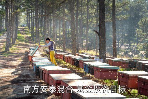  南方安泰混合 基金投資目標