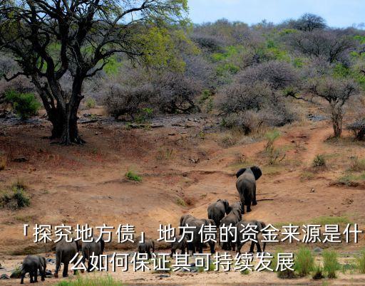 「探究地方債」地方債的資金來源是什么如何保證其可持續(xù)發(fā)展