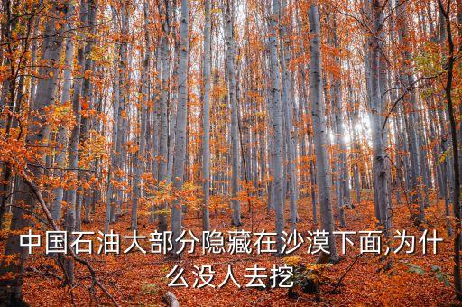 中國(guó)石油大部分隱藏在沙漠下面,為什么沒(méi)人去挖