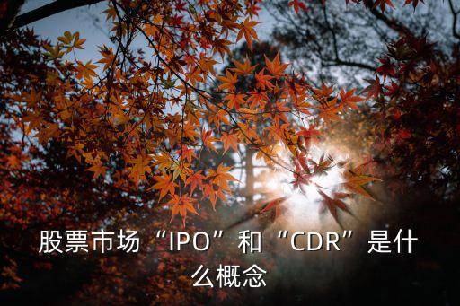 創(chuàng)業(yè)軟件股份有限公司ipo,杭州創(chuàng)業(yè)軟件股份有限公司