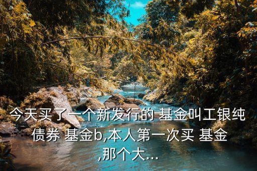 今天買(mǎi)了一個(gè)新發(fā)行的 基金叫工銀純 債券 基金b,本人第一次買(mǎi) 基金,那個(gè)大...