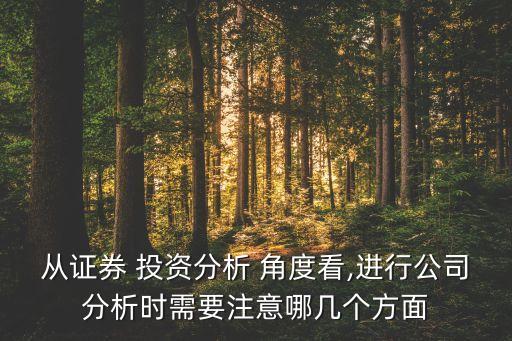 從證券 投資分析 角度看,進行公司分析時需要注意哪幾個方面
