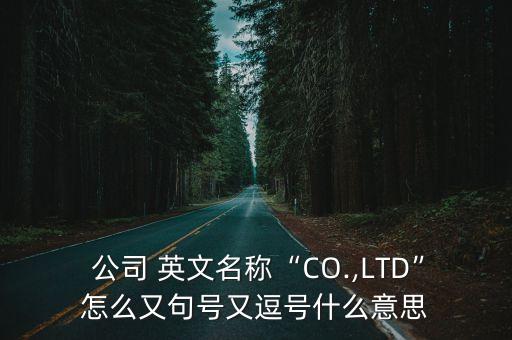 國內(nèi)公司英文名