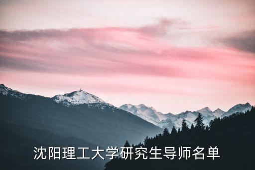 沈陽(yáng)理工大學(xué)研究生導(dǎo)師名單