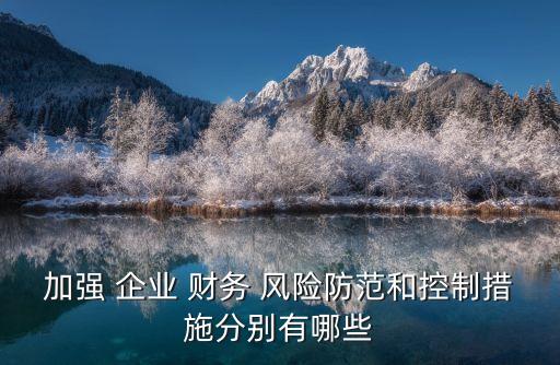 集團(tuán)企業(yè)財務(wù)風(fēng)險管理,加強(qiáng)企業(yè)財務(wù)風(fēng)險管理的重要性