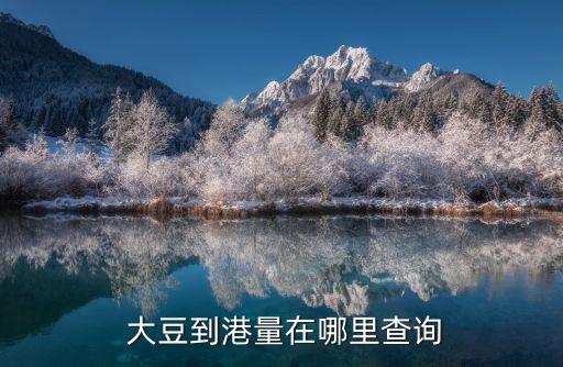  大豆到港量在哪里查詢